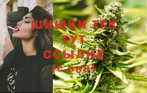 шишки Протвино