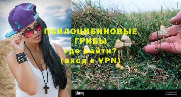 шишки Протвино