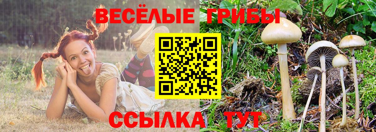 Галлюциногенные грибы мицелий  Великие Луки 