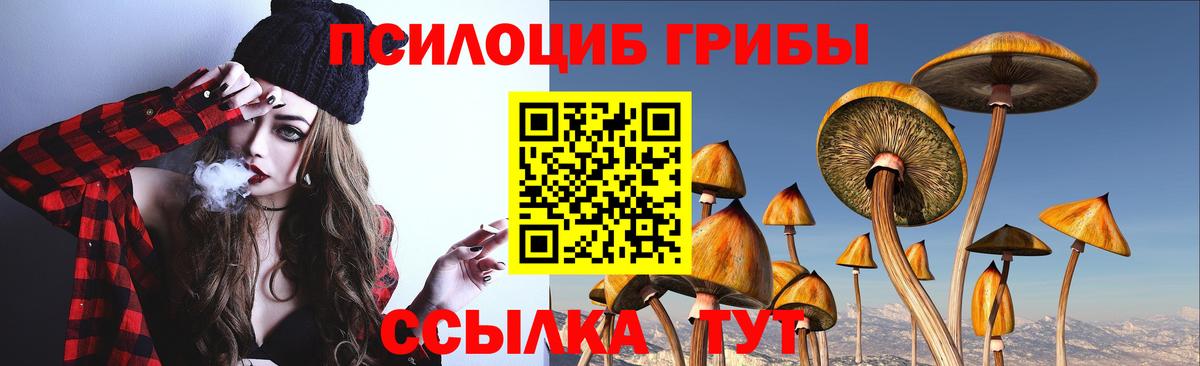 Великие Луки  Псилоцибиновые грибы мицелий  как найти наркотики  Вход с VPN  Галлюциногенные грибы мицелий 