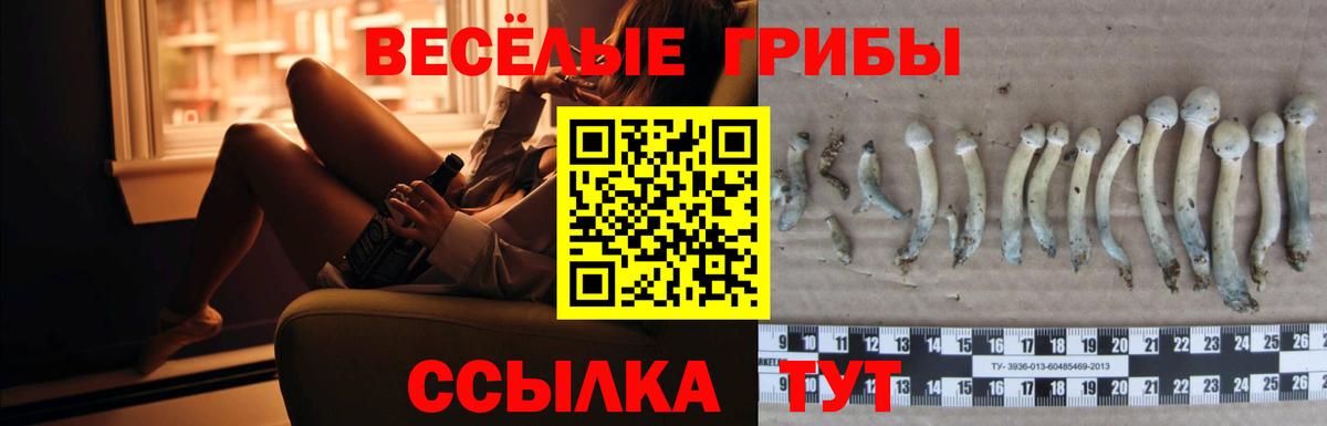 Галлюциногенные грибы ЛСД Великие Луки